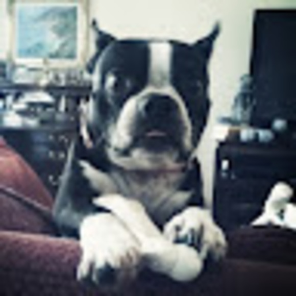 Meet your Posher, Meredith - Picture 1 of 1